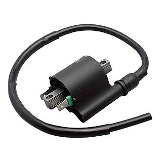 Ignition coils ECO 100