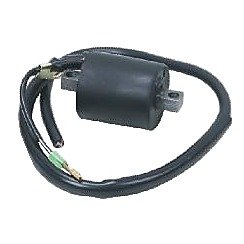 Ignition coils WAVE